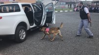 JANDARMA GENEL KOMUTANLIĞI - Patlayıcı Madde Ve Bomba Uzmanı Köpeklerin Gösterisi  Beğeni Kazandı