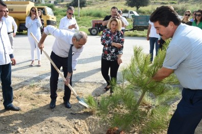 Tarsus'ta 151. Yılda Türkan Saylan Anısına 151 Fidan Dikildi