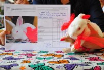 Tavşan Pamuk Karnesini Aldı