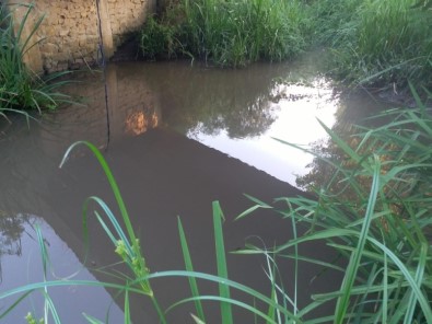 Tekirdağ'da Dere Kirliliği