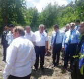 KAYACıK - Vali Köşger Dolunun Vurduğu Kiraz Üreticisini Dinledi