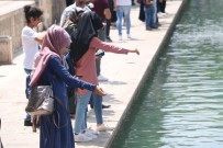 BALıKLıGÖL - YKS'ye Girecek Olan Öğrenciler Kutsal Mekanlarda Dua Etti