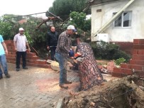 ÇAM AĞACI - Fırtına Yüzünden 50 Yıllık Ağaç Yan Evin Terasına Düştü