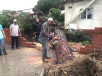 Fırtına Yüzünden 50 Yıllık Ağaç Yan Evin Terasına Düştü