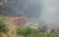 HABİB-İ NECCAR - Hatay'da Habib-İ Neccar Dağı'nda Orman Yangını
