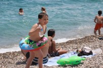 Karneyi Alan Sahile Koştu