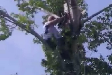 Testereyle Bacağını Kesen Adam Ağaçta Mahsur Kaldı