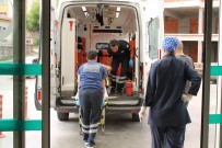 Tosya'da Ağaçtan Düşen Kişi Yaralandı