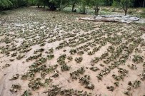 YOZGAT - Yozgat'ta Yaşanan Sel Felaketi Sonrası Zarar Gün Yüzüne Çıktı