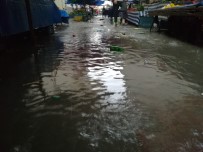 SAĞANAK YAĞIŞ - Aydın Sele Teslim Oldu