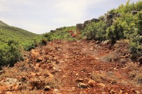 ŞEHITKAMIL BELEDIYESI - Çiftçinin Üretimi Arazi Yolları Açıldıkça Artıyor