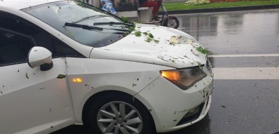 Sakarya'da Şiddetli Yağış Esnasında Ağaç Aracın Üzerine Devrildi