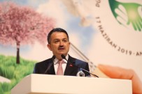 EROZYONLA MÜCADELE - Bakan Pakdemirli Açıklaması 'Türkiye Çölleşme Risk Haritası Hazırlandı'