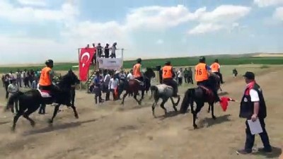 Diyarbakır'da Rahvan At Yarışları Yapıldı