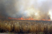 SONBAHAR - Diyarbakırlı Çiftçilere, Anız Yangınıyla İlgili Uyarı Bildirisi
