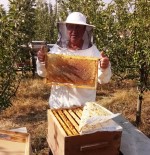 YAĞAN - Hisarcıklı Arıcıların Yüksek Bal Üretimi Beklentisi