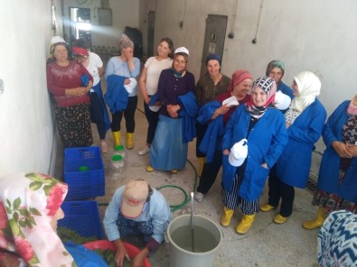 'Kadın Çiftçiler Tarımsal Yeniliklerle Buluşuyor' Programı Uygulamaya Geçirildi