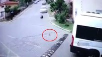 SERVİS ŞOFÖRÜ - Servis Şoförünün Yavru Kediyi Ezme Anı Kamerada