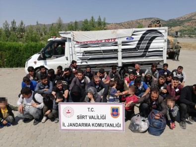 Siirt'te 40 Düzensiz Göçmen Yakalandı