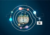 BURSA BÜYÜKŞEHİR BELEDİYESİ - Akıllı Şehirciliğe Kurumsal Kimlik