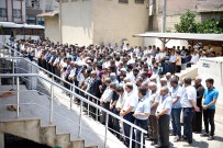 BATıL - Ceylanpınar'da Muhammed Mursi İçin Gıyabi Cenaze Namazı Kılındı