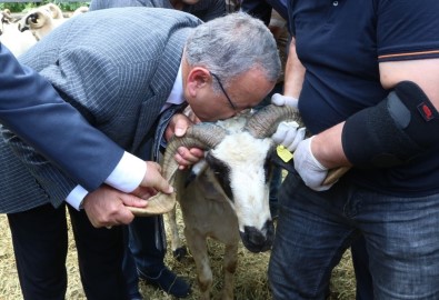 Hilmi Güler'den Çiftçilere Jest