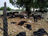 SAĞANAK YAĞIŞ - Mersin'de Sel