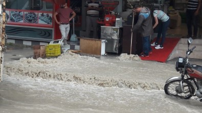 Mersin Sele Teslim Oldu