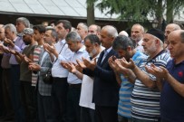 SİVİL DAYANIŞMA PLATFORMU - Said Mursi İçin Gebze'de Gıyabi Cenaze Namazı Kılındı