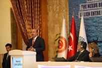 MUSTAFA ŞENTOP - Akdeniz Parlamenterler Asamblesi Toplantısı Ankara'da Yapıldı