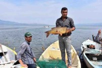 DOĞAL YAŞAM ALANI - Denizi Olmayan Manisalı Balıkçılar 'Vira Bismillah' Dedi