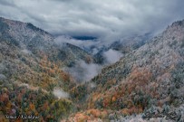 ORMAN BAKANI - Fotoğraf Yarışması İkincisi Zonguldak OBM'den