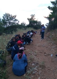 İzmir'de Göçmen Kaçakçılığına Yönelik Operasyon