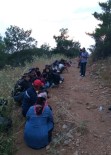 GÜMÜLDÜR - İzmir'de Göçmen Kaçakçılığına Yönelik Operasyon
