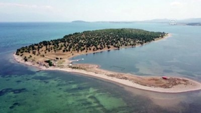 Kuzey Ege'de 105 Milyon Liraya Satılık Ada