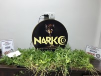 KAYABAŞı - Oğlunu Öldüren Babanın Balkonundan Uyuşturucu Çıktı