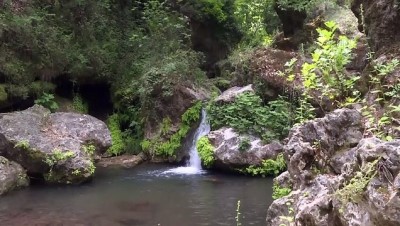 Ormanın İçindeki 'Gizli Cennet' Ziyaretçilerini Büyülüyor