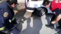 KONACıK - Otomobilin Motor Bölümüne Giren Yılan Uzun Uğraş Sonucu Çıkarıldı