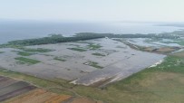 TARIM ARAZİSİ - (Özel) Su Altında Kalan Tarım Arazileri Havadan Görüntülendi
