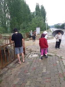 Sel Sularının Getirdiği Çöpler Temizlendi