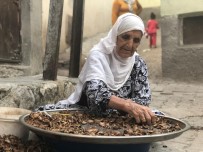 KADER - Siirt'te Kadınlar Ceviz Kırarak Aile Bütçelerine Katkı Sağlıyor