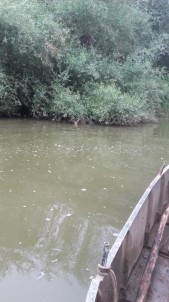 Dört Gündür Kayıp Olan Şahsın Cesedi Bulundu