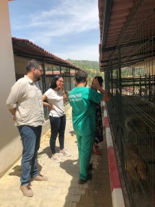 Mersin Barosu Yönetimi, Hayvan Bakım Evinde İncelemelerde Bulundu