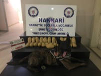 Yüksekova'da 13 Kilo 500 Gram Eroin Ele Geçirildi