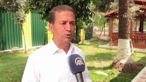 MEHMET AKıN - Adana Kavunun Rekoltesi Yüz Güldürüyor