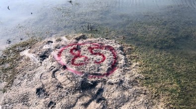 Kızının Altında Olabileceği Noktaları Tek Tek İşaretledi