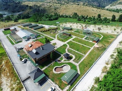 Kütahya Belediyesi'nden Sokak Hayvanlarına 7/24 Sağlık Hizmeti