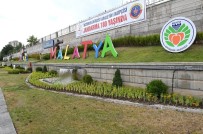 Malatya'da Çiçekler Açtı