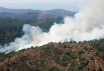 Marmaris'te Orman Yangını