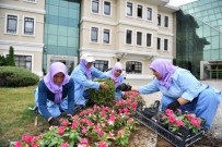 OSMANGAZI BELEDIYESI - Osmangazi 200 Bin Çiçek İle Renklenecek
